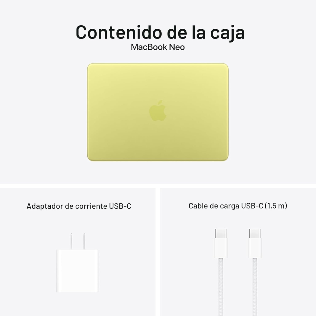 Imagen 35.webp